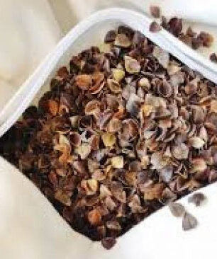 Buckwheat Life Pillow